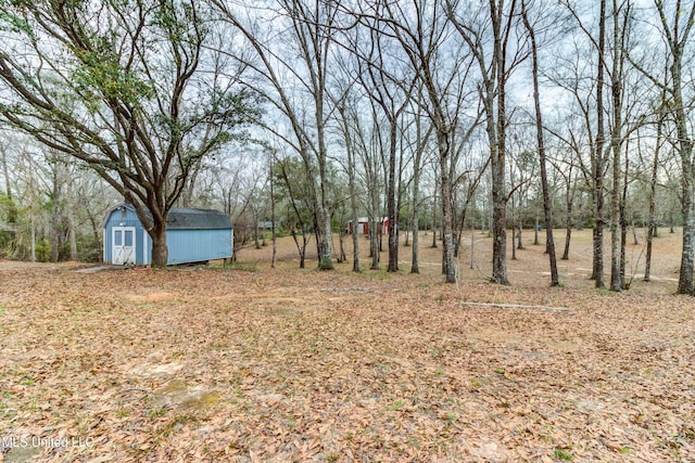 view of yard with a storage unit and an outbuilding