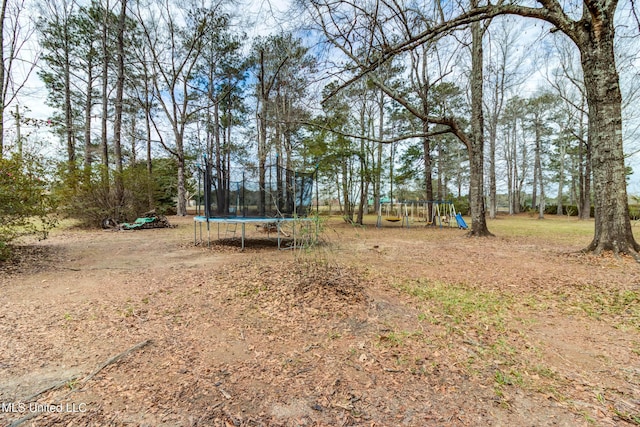 view of yard featuring a trampoline and playground community