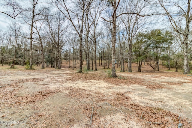 view of local wilderness