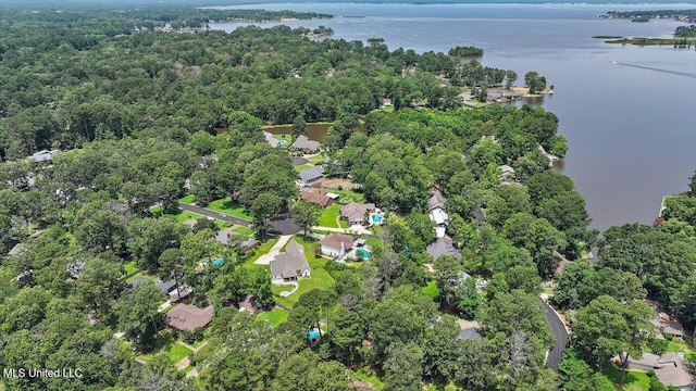 110 Stonington Ct, Brandon, MS 39047 - aerial view of property and surrounding area with a large body of water and a forest