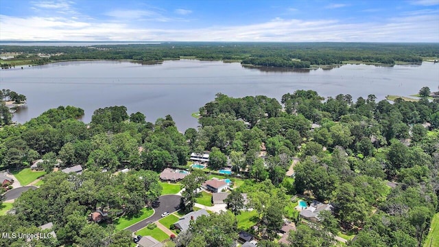 110 Stonington Ct, Brandon, MS 39047 - aerial overview of property's location with a large body of water and a forest