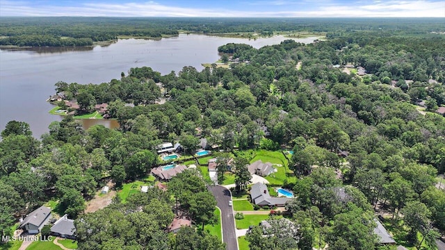110 Stonington Ct, Brandon, MS 39047 - drone / aerial view of a large body of water