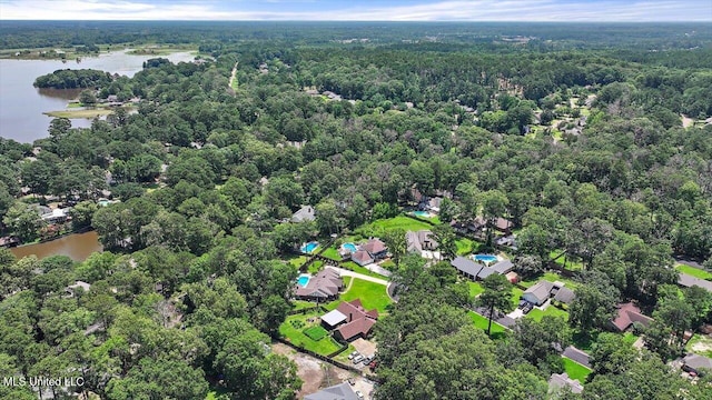 110 Stonington Ct, Brandon, MS 39047 - bird's eye view of a heavily wooded area and a nearby body of water