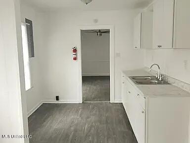 kitchen with white cabinetry, dark wood-type flooring, and sink