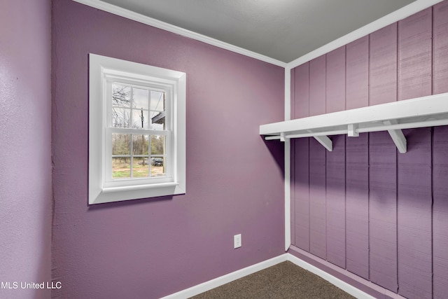 walk in closet featuring carpet floors