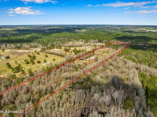 birds eye view of property with a rural view