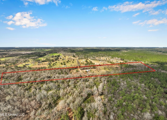 drone / aerial view featuring a rural view