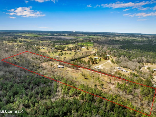 bird's eye view featuring a rural view and a wooded view