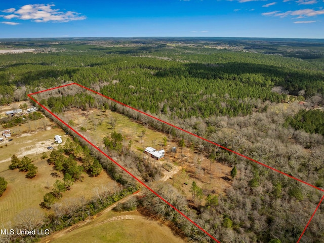 bird's eye view with a rural view and a wooded view