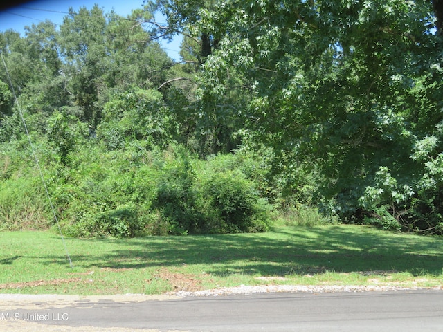 0 NW 1st St, Magee MS, 39111 land for sale