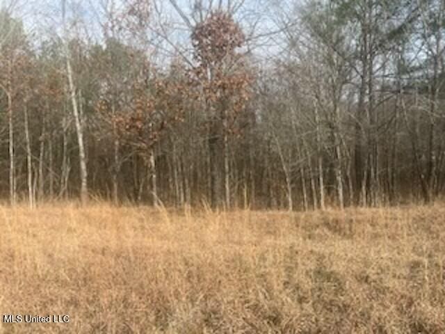 Listing photo 3 for 0 S Red Banks Rd, Byhalia MS 38611