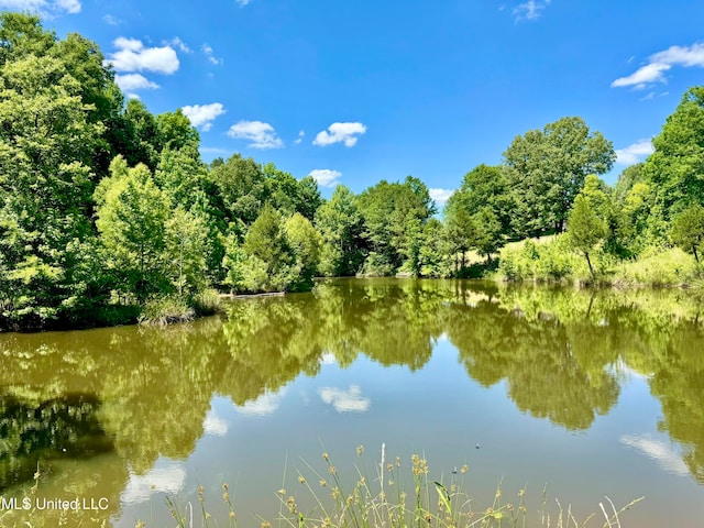 0001 Ingram Rd, Benton, MS 39039