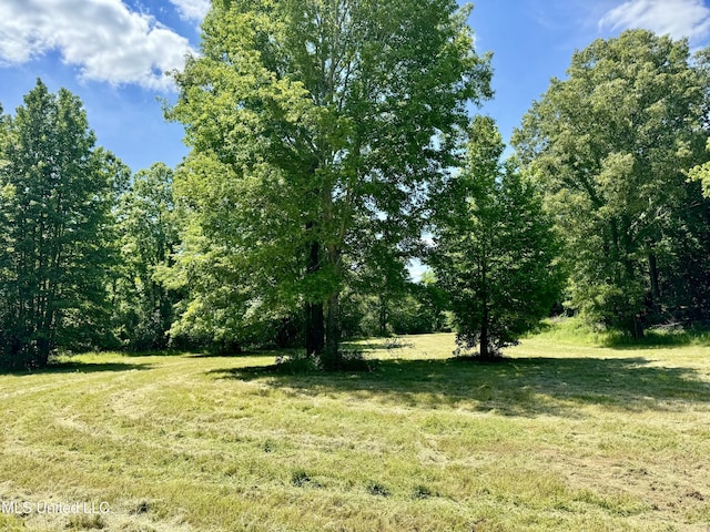 0001 Ingram Rd, Benton, MS 39039