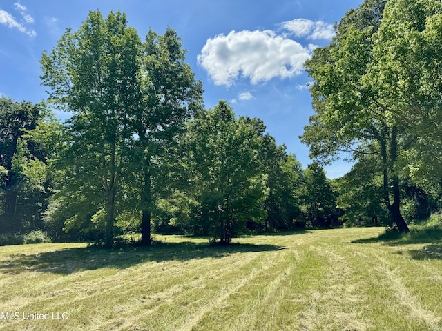 0001 Ingram Rd, Benton, MS 39039