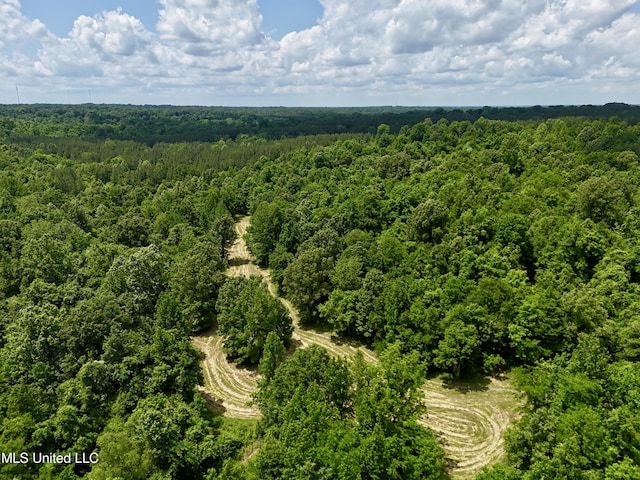 0001 Ingram Rd, Benton, MS 39039