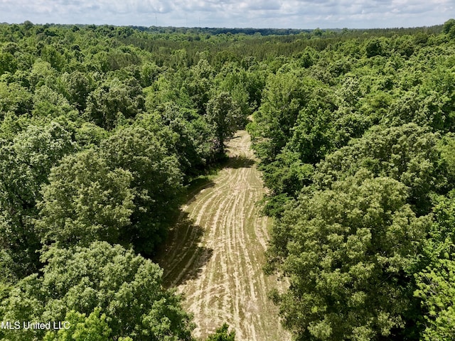 0001 Ingram Rd, Benton, MS 39039