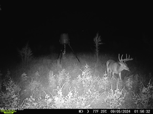 0001 Ingram Rd, Benton, MS 39039