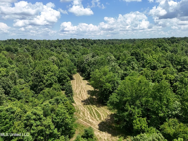 0001 Ingram Rd, Benton, MS 39039