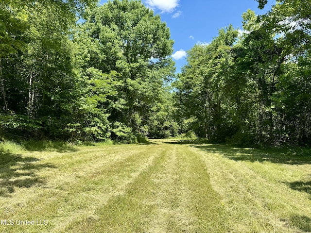 0001 Ingram Rd, Benton, MS 39039