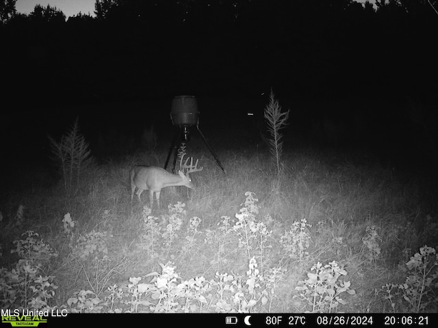 0001 Ingram Rd, Benton, MS 39039
