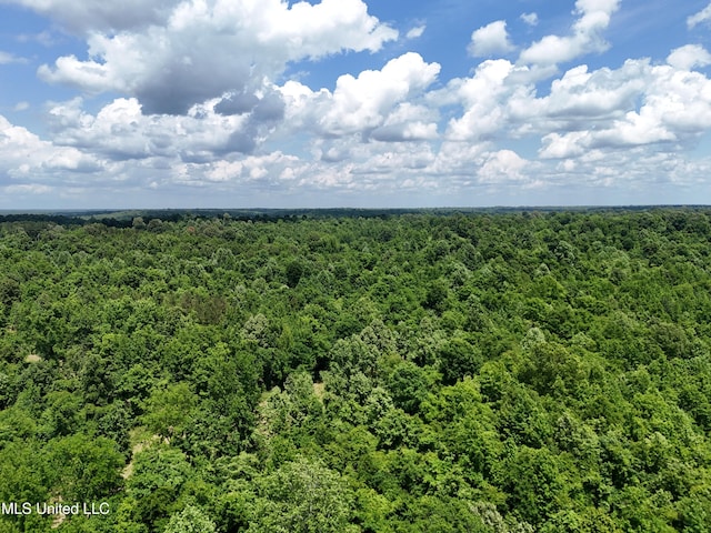 0001 Ingram Rd, Benton, MS 39039