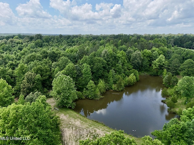 0001 Ingram Rd, Benton, MS 39039
