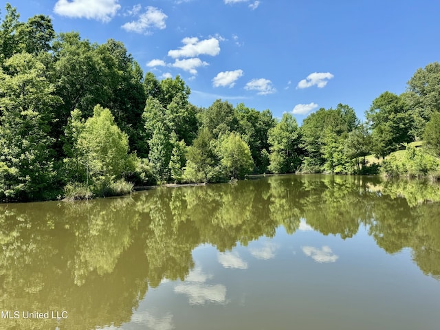 0001 Ingram Rd, Benton, MS 39039
