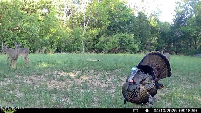 0001 Ingram Rd, Benton, MS 39039