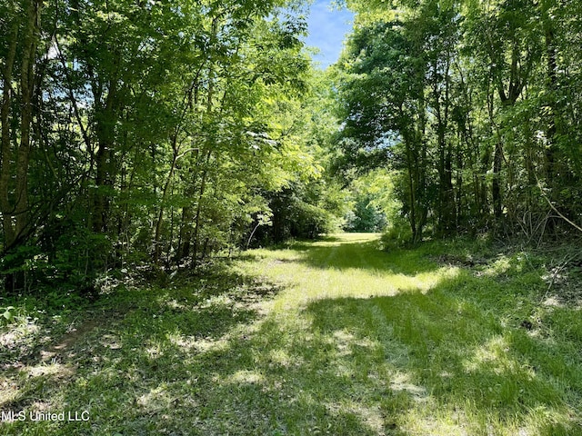 0001 Ingram Rd, Benton, MS 39039