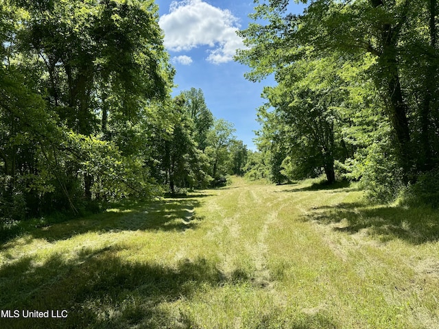 0001 Ingram Rd, Benton, MS 39039