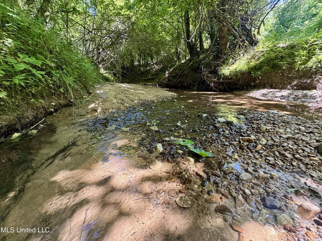0001 Ingram Rd, Benton, MS 39039