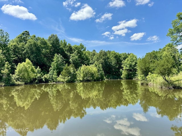 0001 Ingram Rd, Benton, MS 39039