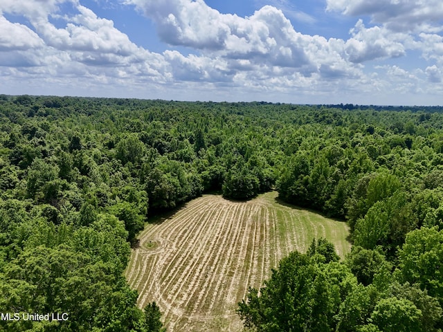0001 Ingram Rd, Benton, MS 39039