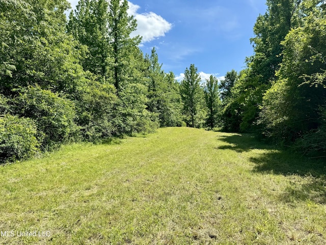 0001 Ingram Rd, Benton, MS 39039
