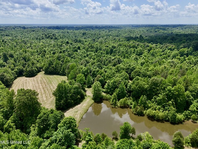 0001 Ingram Rd, Benton, MS 39039
