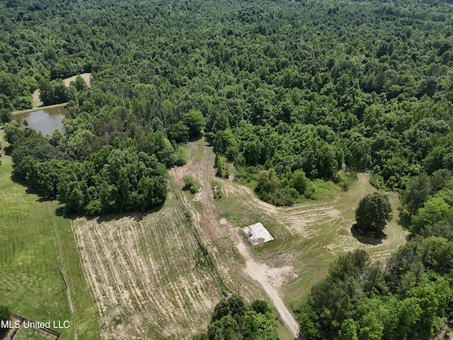 0001 Ingram Rd, Benton, MS 39039