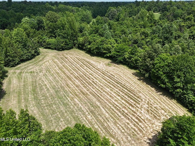 0001 Ingram Rd, Benton, MS 39039
