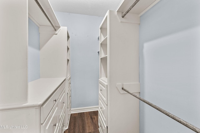 walk in closet featuring dark hardwood / wood-style floors