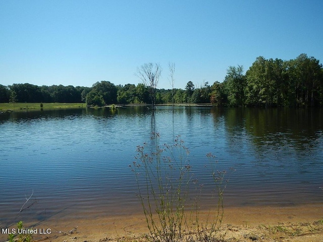 919 Endris Rd, Canton, MS 39046