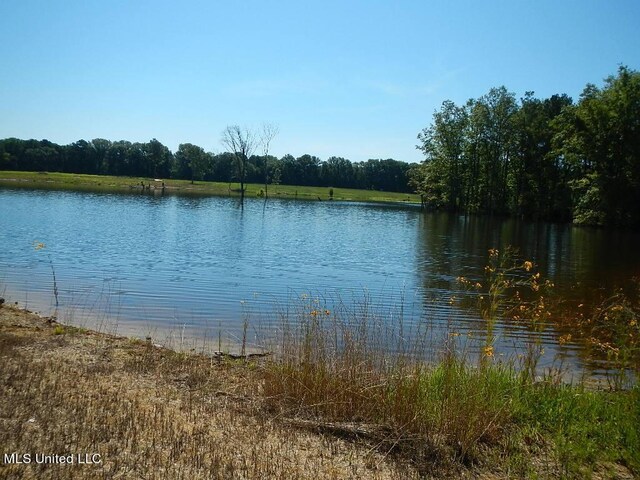 919 Endris Rd, Canton, MS 39046