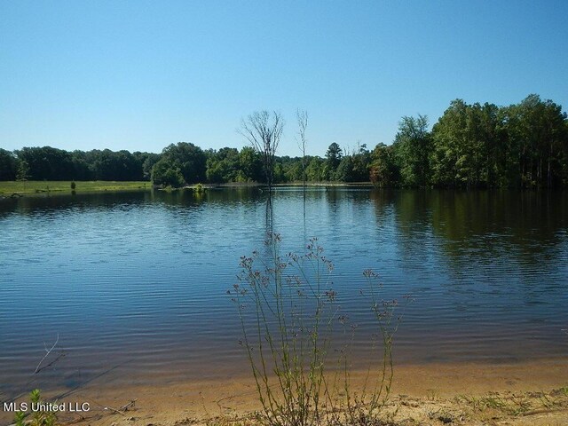 919 Endris Rd, Canton, MS 39046