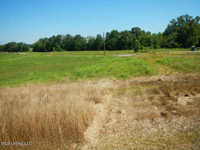 919 Endris Rd, Canton, MS 39046