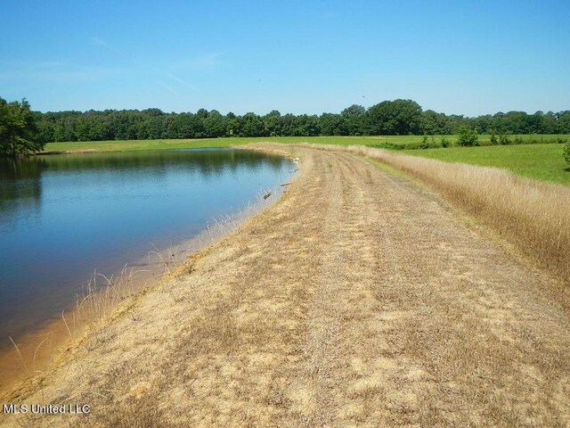 919 Endris Rd, Canton, MS 39046