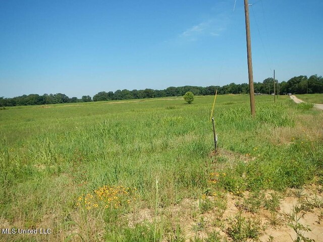 919 Endris Rd, Canton, MS 39046