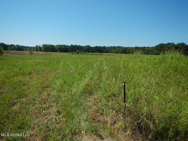 919 Endris Rd, Canton, MS 39046