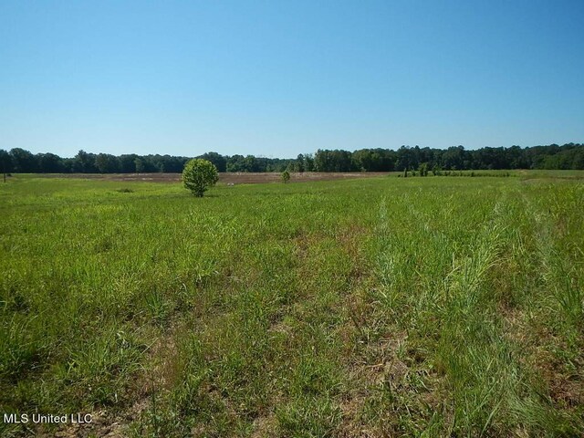 919 Endris Rd, Canton, MS 39046