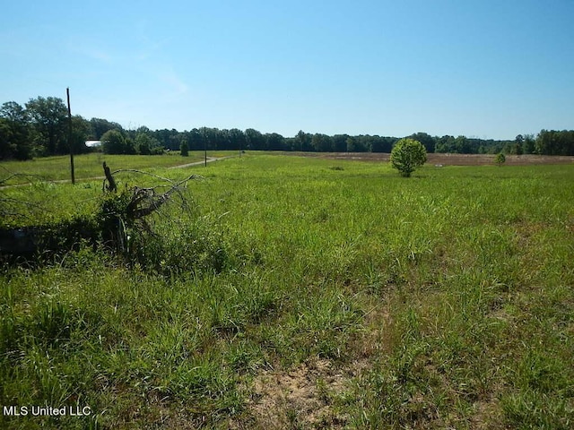 919 Endris Rd, Canton, MS 39046