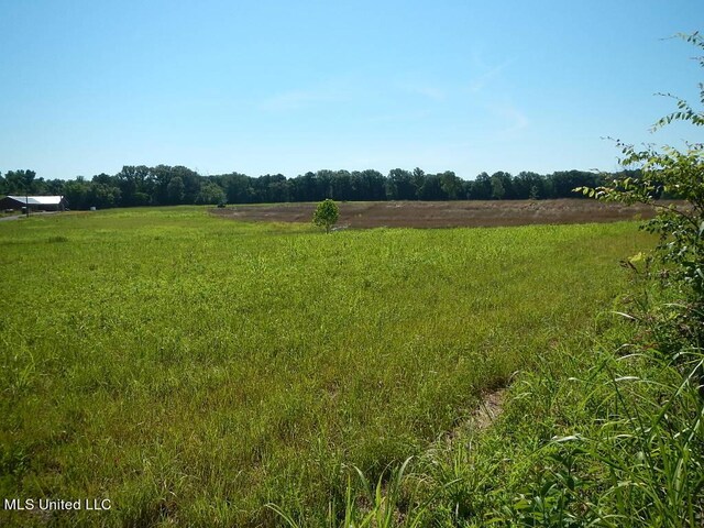 919 Endris Rd, Canton, MS 39046