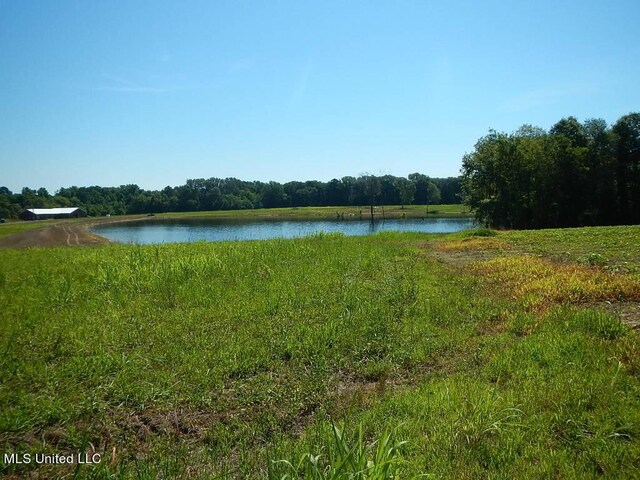 919 Endris Rd, Canton, MS 39046