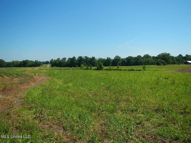 919 Endris Rd, Canton, MS 39046